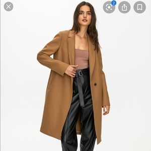 Aritzia Babaton Stedman Coat